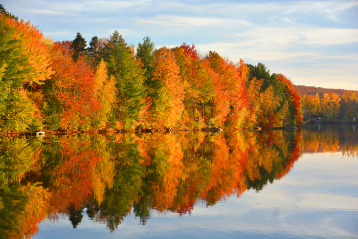 留学に適した国カナダ　美しいメープルの紅葉